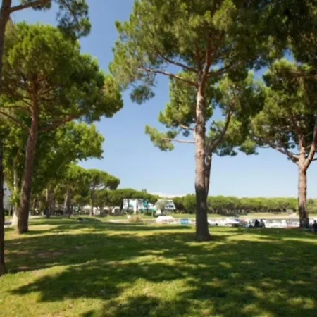 Motte 50m - 50m Port Centre *
